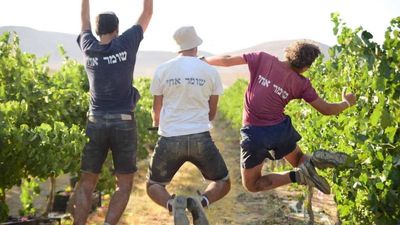 Teen Farm Volunteers Are Bonding With The Land Of Israel