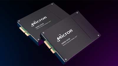 Micron Unveils 128GB and 256GB CXL 2.0 Expansion Modules