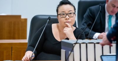 Outgoing DPP Drumgold should face more than 'preliminary' review: Elizabeth Lee