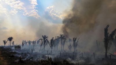 South American summit seeks roadmap to save damaged Amazon
