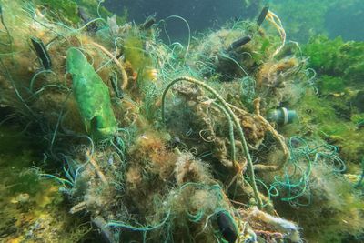 Could plastic pollution be not that bad?