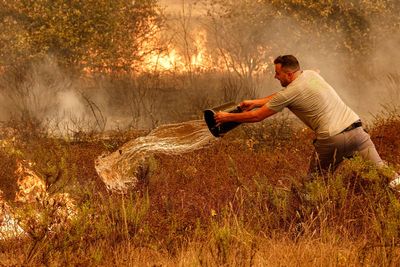 Portugal weather forecast as wildfires spread to Algarve amid 46C heatwave
