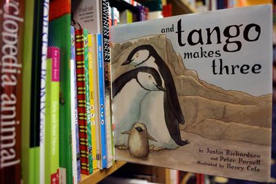 Florida school board reverses decision nixing access to children's book about a male penguin couple