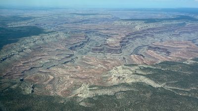 Up First Briefing: Biden's Grand Canyon national monument; health tips from Japan.