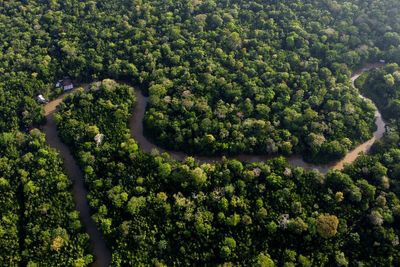 Eight Amazon rainforest countries open summit in Belem, Brazil