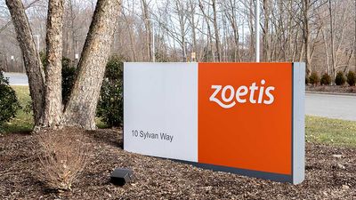 Spot's Drugmaker, Zoetis, Digs Up A Breakout On Its Second-Quarter Beat