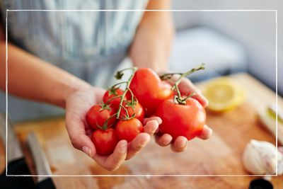 Can you freeze tomatoes to reduce food waste?