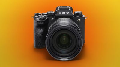 Why doesn't Sony make a proper professional camera?