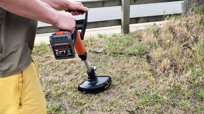 Black + Decker LSTE525 Cordless Lawn Trimmer review