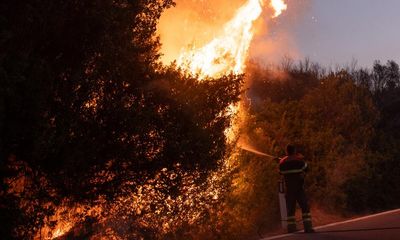 July was world’s hottest month on record, climate scientists confirm