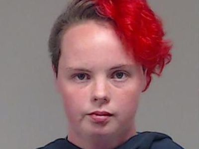 Texas woman arrested after bodies of 24 dogs and 12 horses found on property