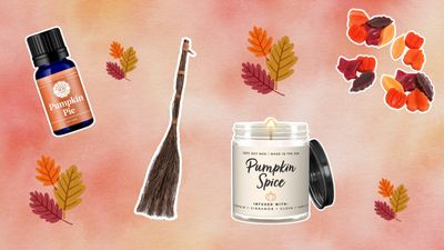 If autumn girlie is your personality, here's how to make your home smell like fall