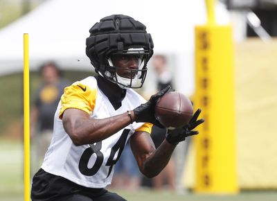 Steelers waive wide receiver Ja’Marcus Bradley