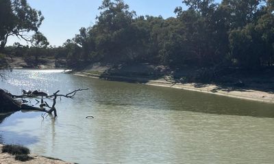 Darling-Baaka River at Menindee faces more fish kills as temperatures rise