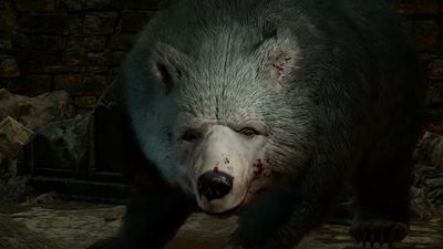 Baldur's Gate 3 director says the bear sex meme got so out of hand that people were trolling his son with bear pictures