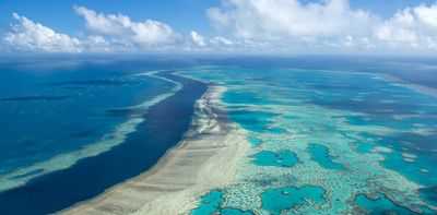 Is the Great Barrier Reef reviving – or dying? Here's what's happening beyond the headlines