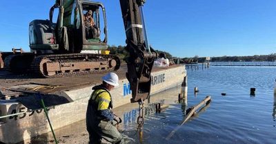 'High demand': Tuncurry oyster site cleaned up for new operation