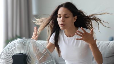 5 colors that repel heat to keep you cool this summer
