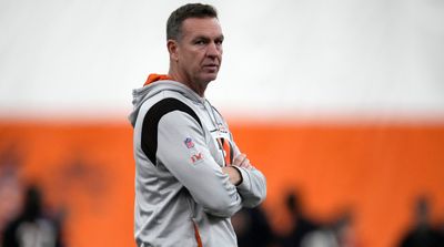 The Man Behind the Bengals Defense, and Its Consistency Against the Best