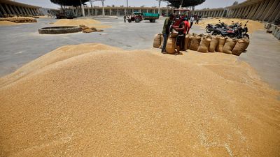 To curb price rise, Centre releases more grain stock under open market sale