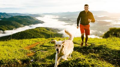 How hot is too hot to take your dog hiking?