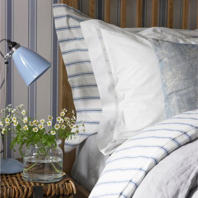 Are you about to find spiders in your bed? It's time to face facts this spider season