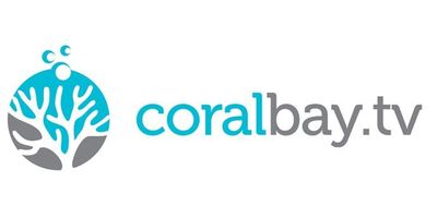 Coralbay.tv Completes Integration With Nielsen Watermarking