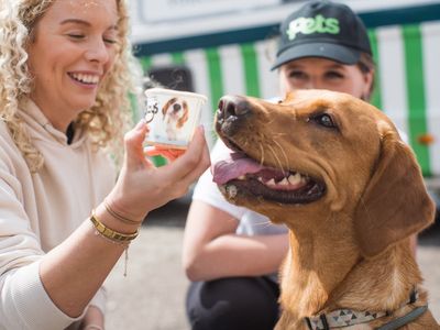 Ice cream van helps dogs stay cool serving up frozen treats