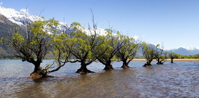 Incremental environmental change can be as hazardous as a sudden shock – managing these ‘slow-burning’ risks is vital