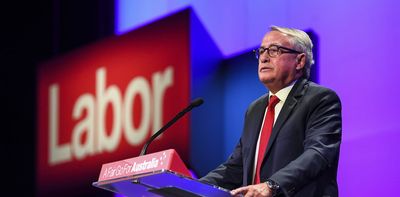 Politics with Michelle Grattan: Labor president Wayne Swan on the party's coming national conference