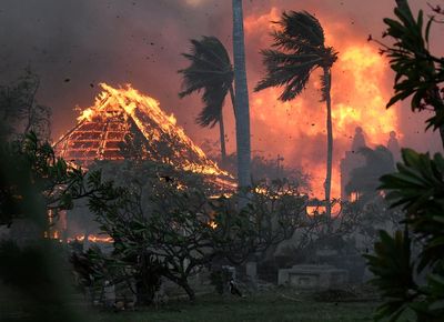 At least 36 killed in Hawaii wildfires as locals dive into sea to escape