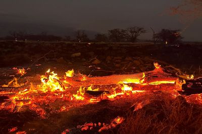 Wildfire devastates Hawaii's historic Lahaina Town, a former capital of the kingdom