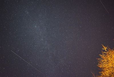 Perseid meteor shower visible in KY this weekend