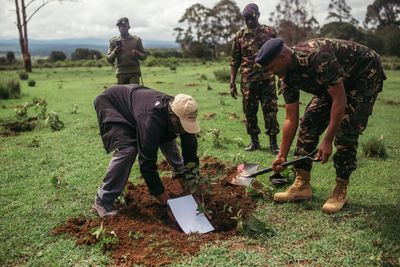 Drought and conflict are hurting Kenyan forests. Can the army fix things?