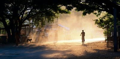 India was a tree planting laboratory for 200 years – here are the results