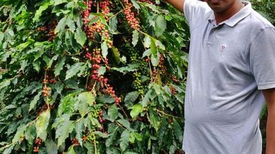 Roys Selection Coffee brings Karshakothama Award to Wayanad