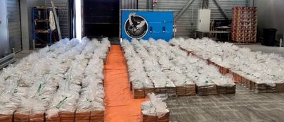 Dutch customs officials make record cocaine seizure worth 600 million euros