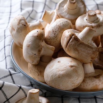 How to grow mushrooms - a fung-guide to help you grow an endless supply