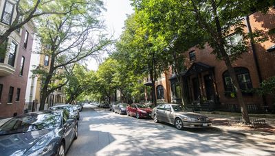 Chicago, don’t let healthy trees be cut down without good reason