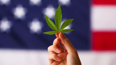 Half of Americans have tried weed