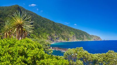 The best beach resorts in Madeira: Simon Calder shares his coastal picks