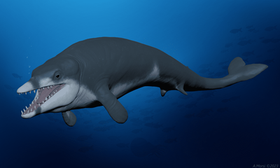 Fossil of 41m-year-old miniature whale discovered in Egypt