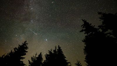 The Perseid meteor shower peaks this weekend. Here's how to watch