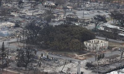 ‘Heartbeat of Lahaina Town’: wildfire chars beloved 150-year-old banyan tree