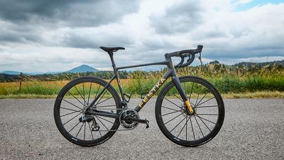 Festka Spectre review: A custom carbon bike from Czechia