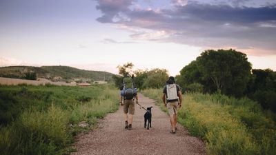 Clueless hiker arrested after dog dies from heat-related illness