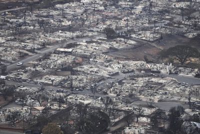 Photos: 'Whole town went and dissolved into ashes,' Hawaii lieutenant governor says