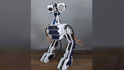 Raspberry Pi Powers Friendly Companion Robot