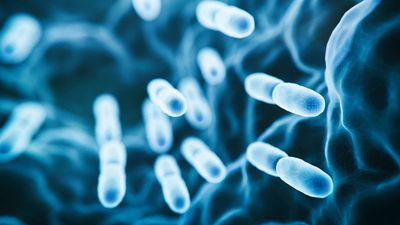 What is Legionnaires’ disease and what are the symptoms?