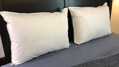 Parachute Down Pillow Review: lush, plush, and humanely-sourced